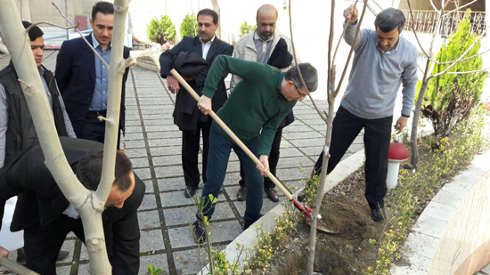 کاشت نهال توسط احمدی‌نژاد، بقایی و مشایی