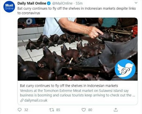 «کاری خفاش» غذای محبوب در اندونزی!