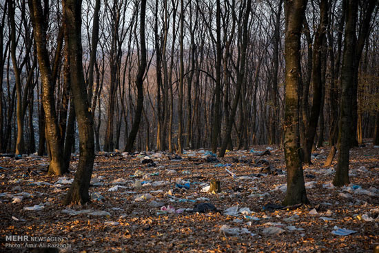 عکس: جنگل کلبستان محل دپوی زباله