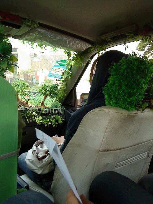 تاکسی جنگلی در تهران!