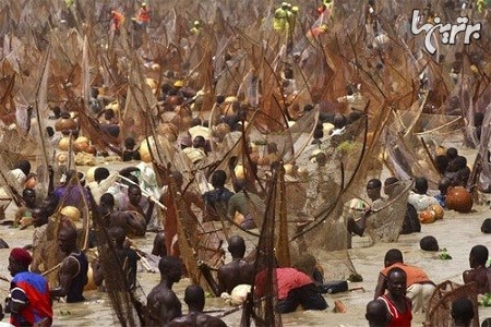 جشنواره ماهیگیری در نیجریه