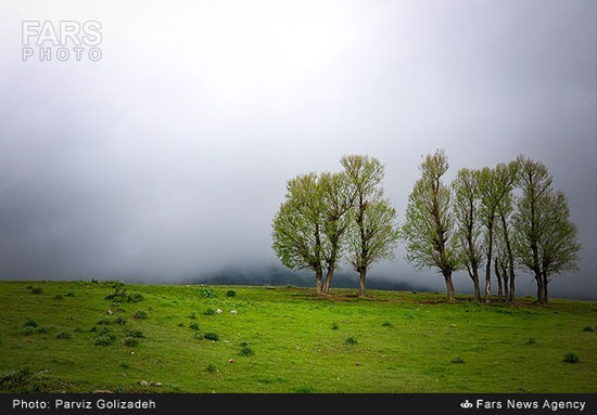 عکس: طبیعت بهشتی ارسباران