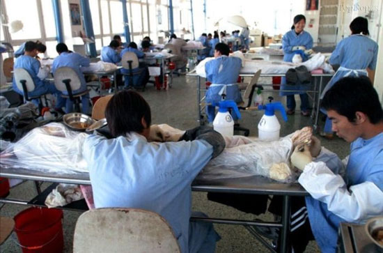 دنیای تن ها، نمایش اجساد مرده +عکس