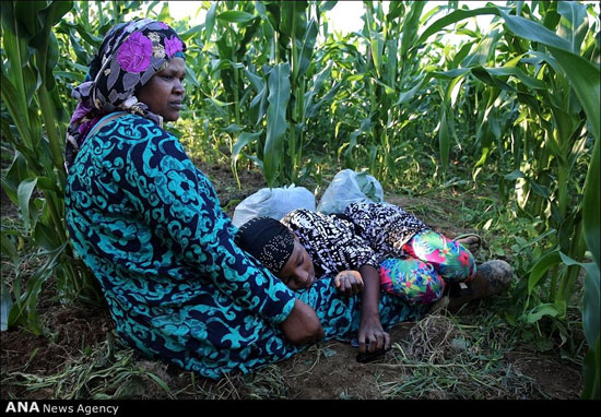 عکس: کشاورزی زنان سومالی