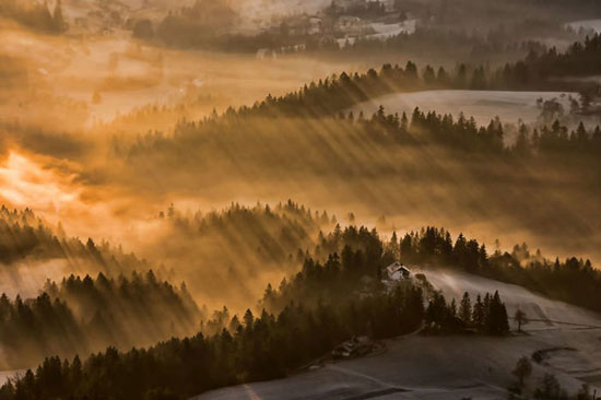 زیبایی هیپنوتیزم کننده‌ جنگل های اسلوونی