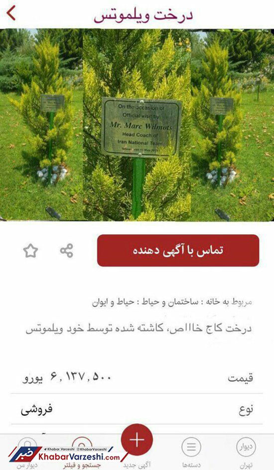 برگ همه درختان ایران از این آگهی ریخت!