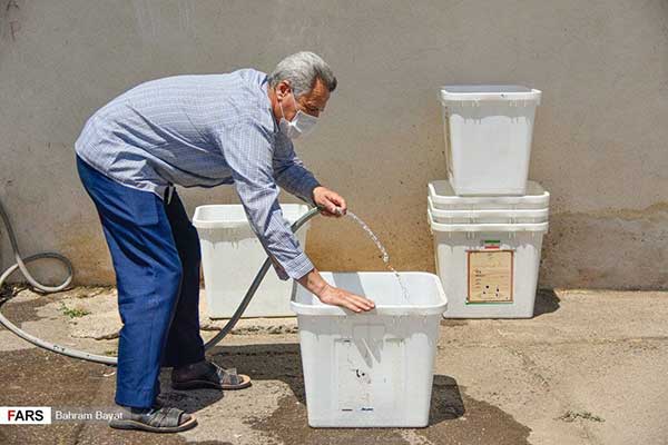 تصویری از صندوق‌های رای که پربازدید شد