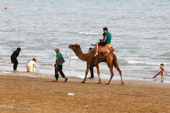 گردشگران سواحل بندرعباس (عکس)