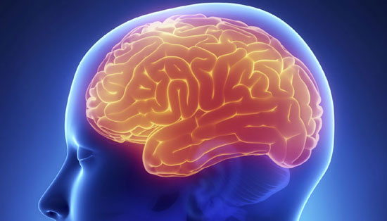 ارتباط تومور مغزی با سطح تحصیلات