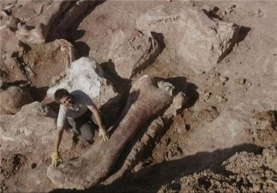 کشف بزرگترین دایناسور تاریخ با وزن 77 تن
