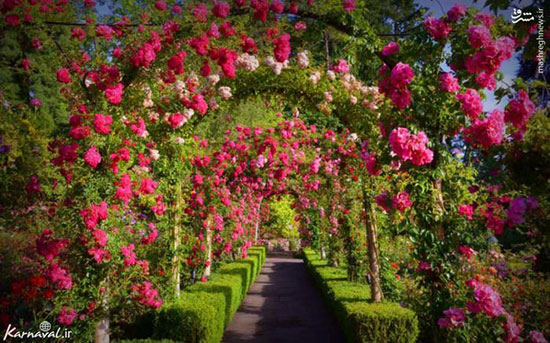 باغ گل شگفت انگیز بوچارت در کانادا