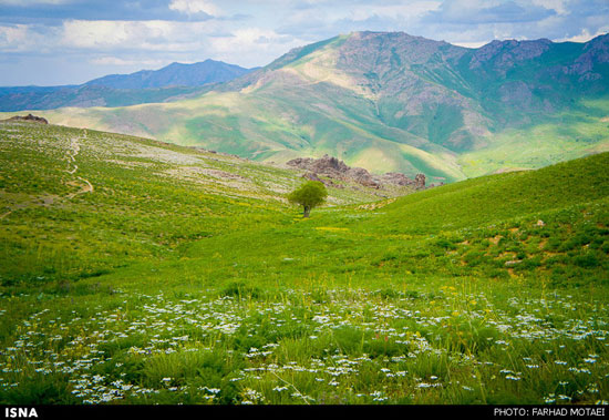 عکس: زیبایی های چهل‌چشمه کردستان