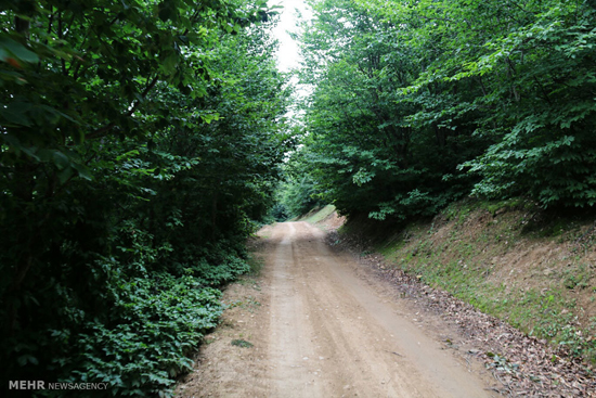 طبیعت زیبای جاده خلخال به اسالم