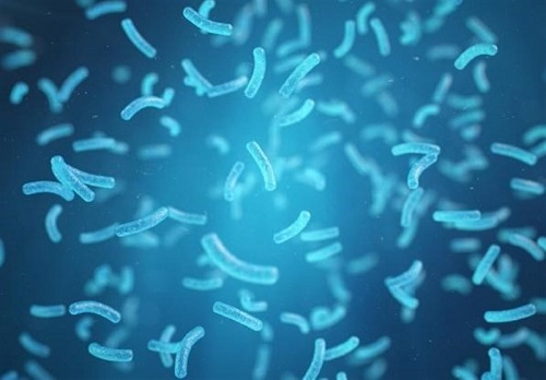 تشخیص نجوای باکتری‌ها پیش از حمله به بدن