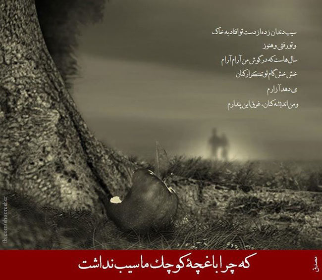 مینی شعر (123)