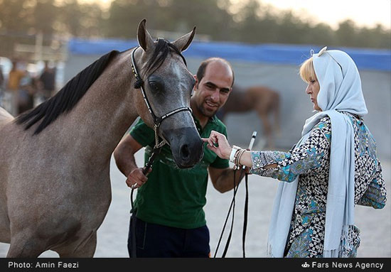 جشنواره زیبایی اسب اصیل ایرانی