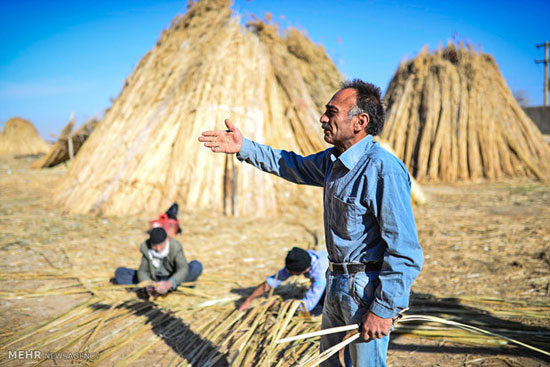 بوریا بافی