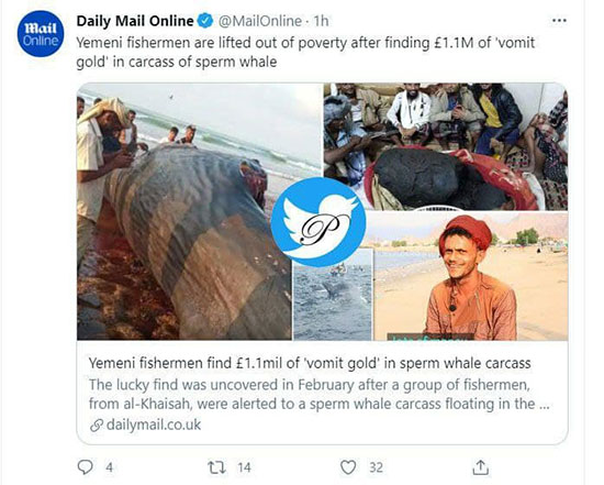 استفراغ نهنگ، ماهیگیران یمنی را میلیونر کرد!