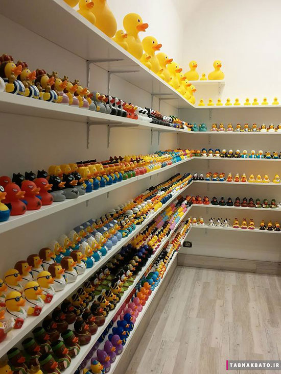 فروشگاه تخصصی برای اردک ها!
