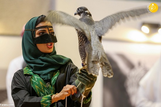 علاقه زنان عربستانی به شاهین شکاری
