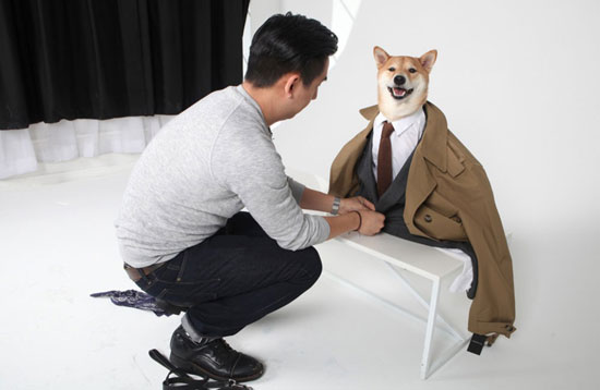 یک سگ مدل لباس مردانه شد! +عکس