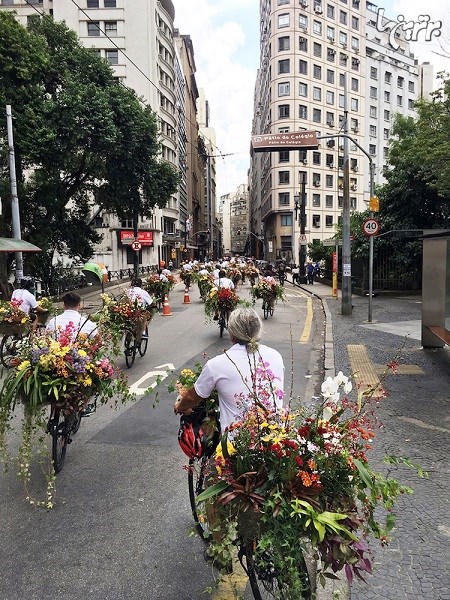پیام بران گل در خیابان های سائو پائولو