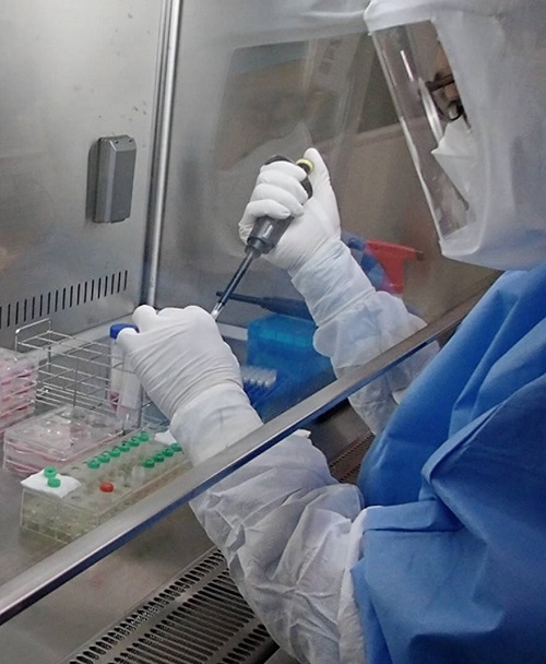 ژاپنی‌ها واکسن کرونا با قابلیت دائمی تولید می‌کنند