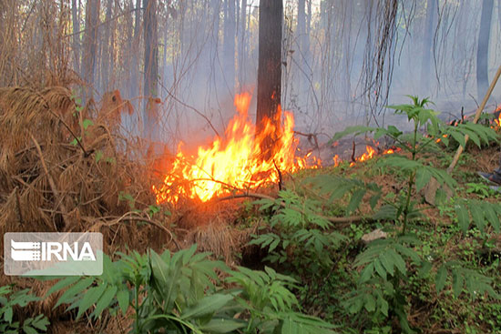 آتش‌سوزی در جنگل‌های «پره‌سر» رضوانشهر