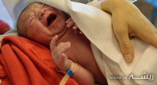 تولد یک نوزاد 55 روز بعد از مرگ مادرش