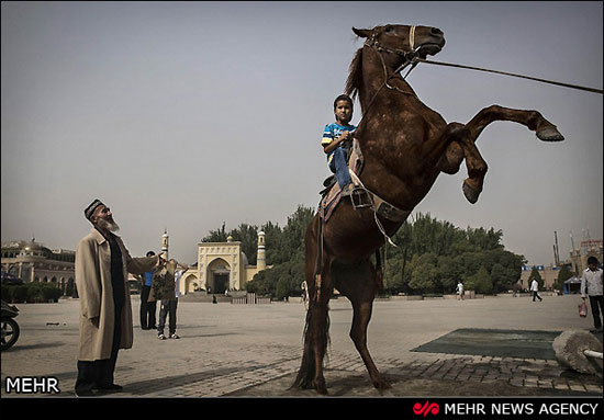 عکس: مسلمانان چین