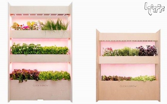 باغچه داخلی با الهام از ناسا و استفاده از خاک هوشمند