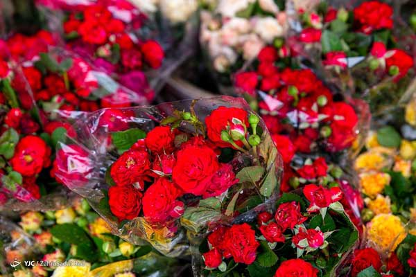 تصاویری از بازار گل در آستانه‌ی سال نو