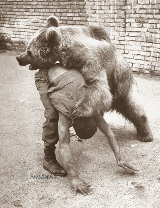 معرکه‌گیری با خرس در تهران قدیم