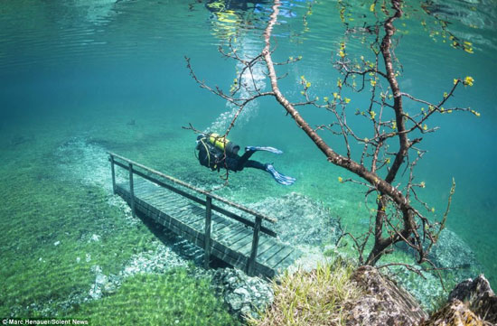 تصاویری دیدنی از پارک زیر آب در اتریش