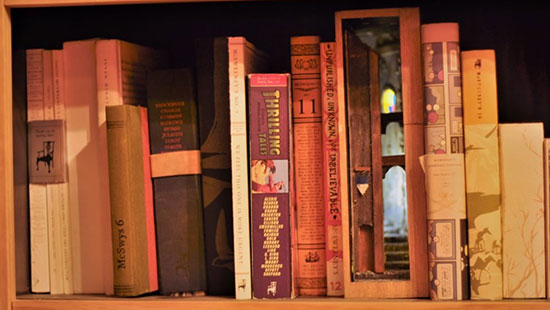 در‌هایی کوچک به سوی فضا‌های خیالی در قفسه‌های کتاب