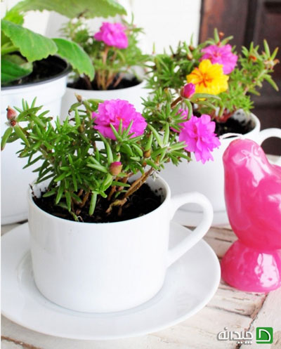 با فنجان و نعلبکی‌های چینی گلدان‌های رنگی بسازید!