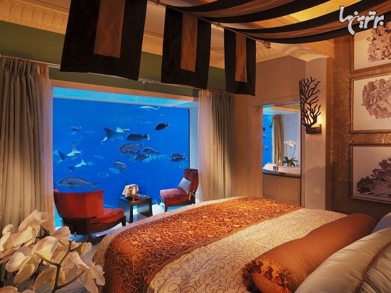 هتل هایی که زیر دریا قرار دارند