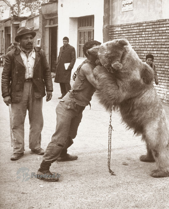 معرکه‌گیری با خرس در تهران قدیم