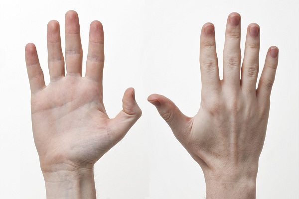 چرا پنج انگشت هم اندازه نیستند؟