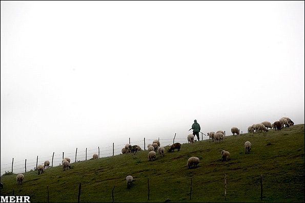 گزارش تصویری: روستای زیبایی در تالش