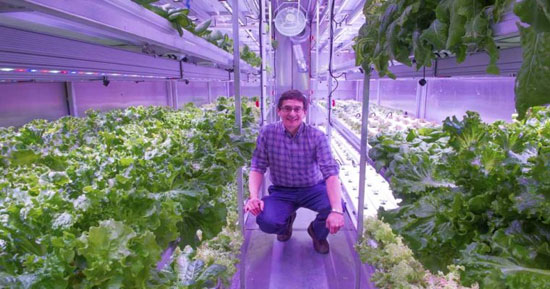 پرورش سبزیجات با برق و نور LED در قطب