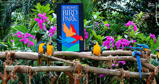 بزرگترین باغ پرندگان دنیا