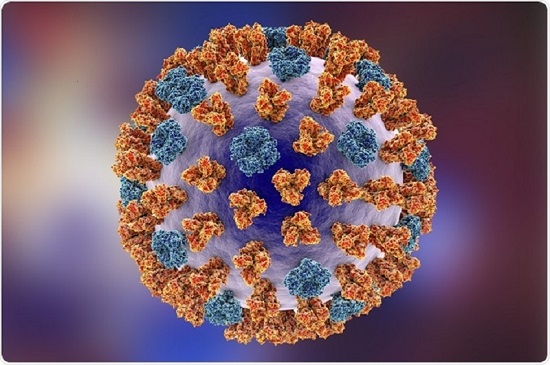 ویروس آنفلوآنزا چگونه از دفاع بدن عبور می‌کند