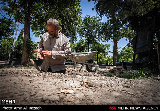 میزبان فردای ما