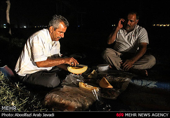 عکس: همیشه در راه