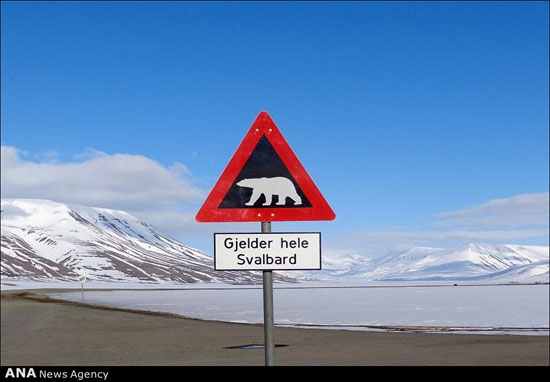 گشت و گذار تصویری در قطب شمال