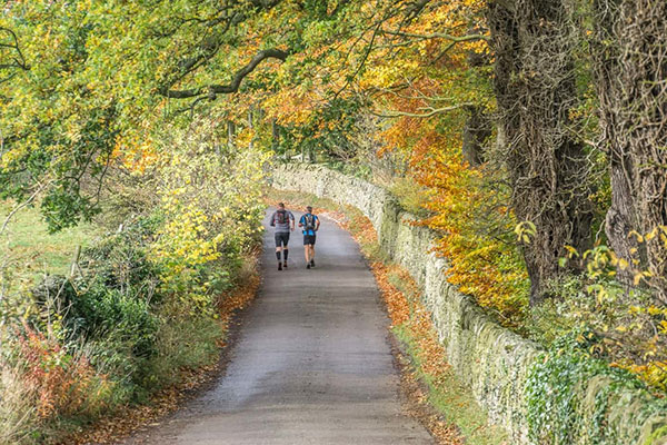 زیبایی‌های پارک ملی انگلستان در پاییز هزار رنگ