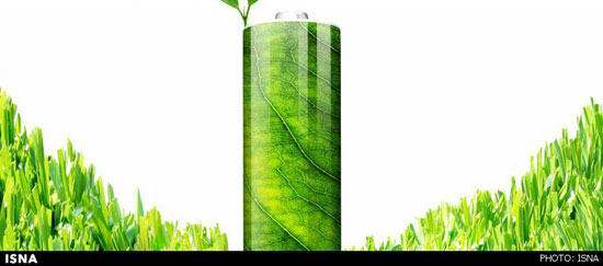 ساخت باتری‌ از برگ درختان بلوط