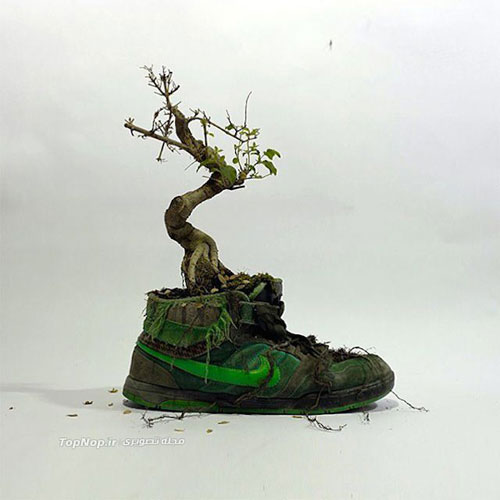 پرورش گل روی کتانی‌ های Nike +عکس