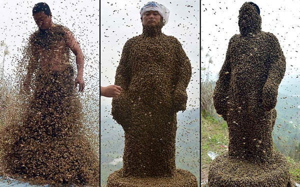 عکس: 460 هزار زنبور روی بدن این مرد!